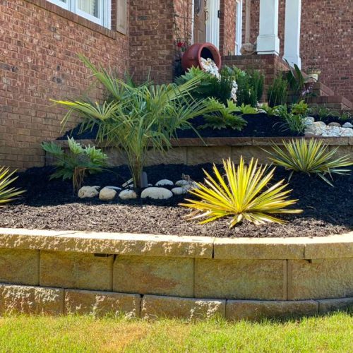 IMG-20251028-WA0895 (1)